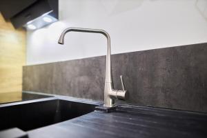 ランスにあるLe Jacquart Centre-ville Spacieux Confortのカウンターの洗面台 +14枚の写真