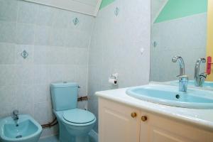 a bathroom with a blue toilet and a sink at Le castel in Laval-du-Tarn