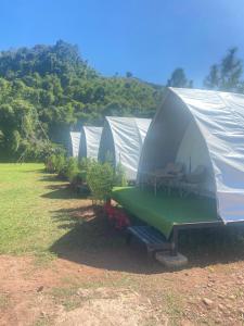 Příroda nedaleko luxury tent