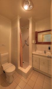 een badkamer met een toilet, een douche en een wastafel bij Port Arthur Motor Inn in Port Arthur