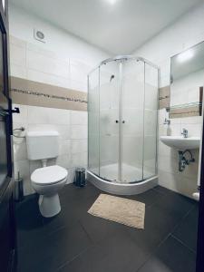 Koupelna v ubytování Thermal Apartman + 37 fotografií