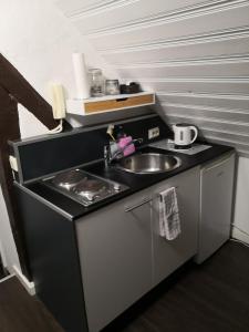 ヘール・グレンツハウゼンにあるStilvolle Altbauwohnung, Apartment Schlaf & gutのシンクとカウンターのある小さなキッチン