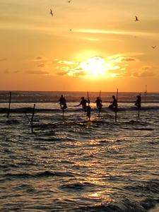 a group of people on the beach at sunset at Animal Surf Point in Ahangama