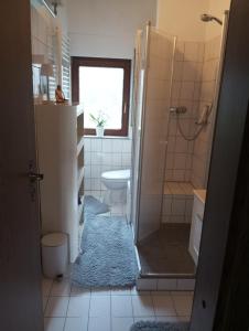 a bathroom with a shower and a toilet and a sink at GOLF-Lodge in Stromberg +40 photos