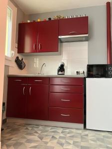 シャロン・シュル・ソーヌにあるCosy T2 centre-villeのキッチン(赤いキャビネット、シンク付)