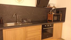 a kitchen with a sink and a microwave at La petite maison des choux in Les Choux