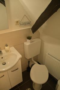 a bathroom with a toilet and a sink at Stilvolle Altbauwohnung, Apartment Träum & schön in Höhr-Grenzhausen