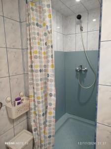 a shower with a shower curtain in a bathroom at Central Victoriei Guesthouse in Bucharest +45 photos