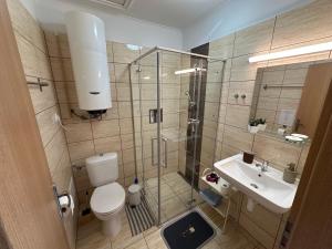 Kúpeľňa v ubytovaní Apartmán LOSONCI Nesvady- pre 2 osoby štúdio