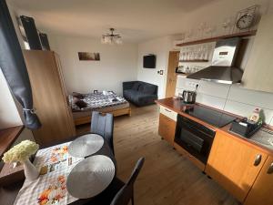 Kuchyňa alebo kuchynka v ubytovaní Apartmán LOSONCI Nesvady- pre 2 osoby štúdio
