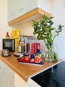 a kitchen counter with a coffee maker and a vase of flowers at Beautiful Apartment on London Bridge! in London