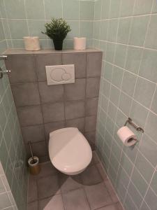 a bathroom with a toilet with a plant on a shelf at App Steenbok 516 Kleinwalsertal in Mittelberg +27 photos