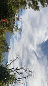 Billede fra billedgalleriet på Astraal Resorts and Spa i Rishikesh + 59 billeder