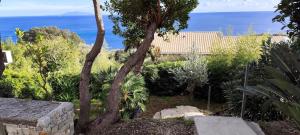 a garden with trees and the ocean in the background at Studio in Brando +5 photos