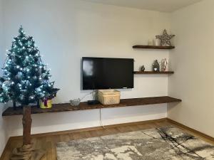 TV a/nebo společenská místnost v ubytování Privát Dalibor
