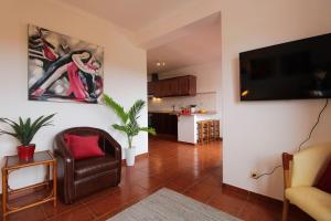 sala de estar con silla y TV de pantalla plana en Casa Papoila T1 com terraço, en Vila Nova de Milfontes