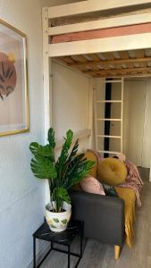 una pianta appoggiata su un tavolo accanto a un letto a castello di Marbeuf - Lao Immo a Grenoble Altre 9 foto
