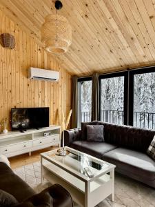a living room with a couch and a tv at High Five Villas in Pamporovo