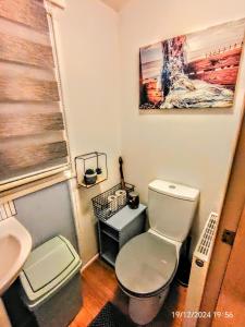 a bathroom with a toilet and a sink at Seascape Costal Venture at Winchelsea Beach in Winchelsea +17 photos