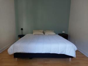 a bedroom with a large white bed with two pillows at Maison avec terrasse Bordeaux Chartrons in Bordeaux
