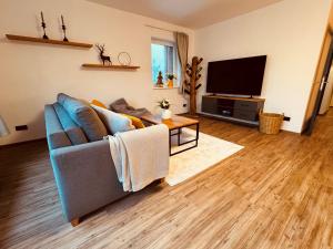 ブラウンラーゲにあるBaude IV - Löwenbaude Braunlageの青いソファと薄型テレビのあるリビングルーム +10枚の写真