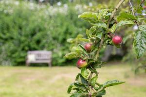 Afbeelding uit fotogalerij van Fehmarn-Ostseeferien Apfelblüte 199 1 in Fehmarn