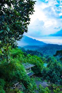Afbeelding uit fotogalerij van Space Rock Resort in Kalpatta