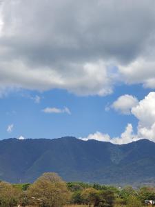 Γενική θέα στο βουνό ή θέα στο βουνό από  αυτό το ξενοδοχείο με κάψουλες