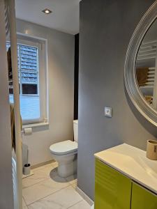 une salle de bain avec toilettes et miroir dans l'établissement La Maison Forestière, à Niederbronn-les-Bains 17 autres photos