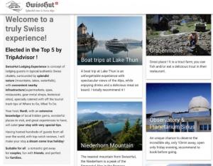 Fotografie z fotogalerie ubytování SwissHut Stunning Views Alps Lake - Apart. Kirch v destinaci Merligen
