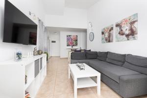 TV a/nebo společenská místnost v ubytování Vivelorural Las Coquetas, Caleta de Fuste