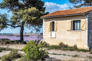 an old house with a tree and a field at Nuits Salines Aigues-Mortes in Aigues-Mortes