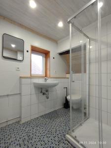 Koupelna v ubytování Dachgeschosswohnung in der Altstadt inklusive Parkplatz