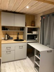 パルヌにあるRaeküla Holiday Gardenの白いキャビネットとシンクを備えた小さなキッチン