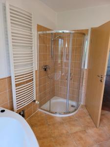 a shower with a glass door in a bathroom at Haus Inselglück in Fehmarn +12 photos