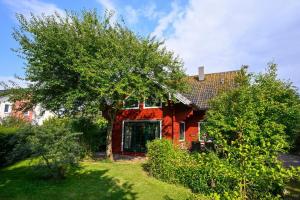 a red brick house with a tree in the yard at Fehmarn Ostseeferien Landliebe Fehmarn 117 in Fehmarn
