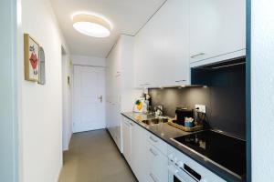Morcote Limone Suite mit traumhafter Seesicht的厨房或小厨房