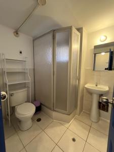 クスコにあるDepartamento 1 Waynapata Centro Histórico de Cuscoのシャワー、トイレ、洗面台を備えたバスルーム