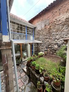 クスコにあるDepartamento 1 Waynapata Centro Histórico de Cuscoの鉢植えの庭園