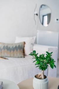 Giường trong phòng chung tại Aéther +16 ảnh