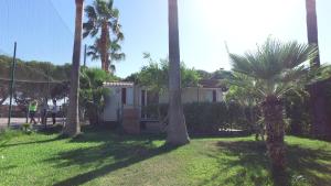 a group of palm trees in front of a house at Happy Camp mobile homes in Kamemi Village in Seccagrande