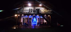 a house with a blue christmas tree in front of it at night at Ubytování u Šveců u Adršpachu in Jívka