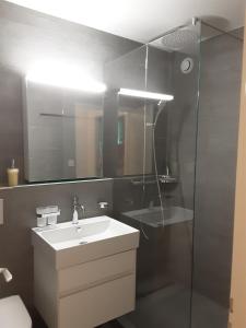 Vannituba majutusasutuses Ferienwohnungen Chesa Clois 24 Studios