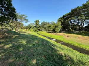 a grassy field with a trail in the distance at บ้านสวนสาลี่ สวนผึ้ง ราชบุรี in Suan Phung