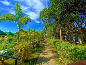 un sentier pédestre à travers un complexe hôtelier avec des palmiers dans l'établissement Mai Resort Hotel, à Laoac