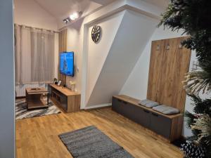 TV/trung tâm giải trí tại Jagodić lux