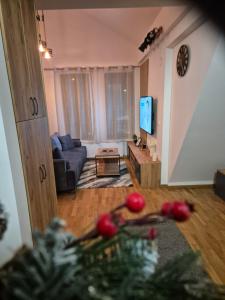 TV/trung tâm giải trí tại Jagodić lux