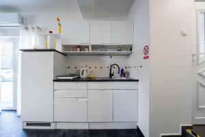 Kuchyň nebo kuchyňský kout v ubytování Studio Apartman Smiley