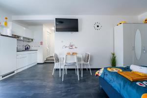 Kuchyň nebo kuchyňský kout v ubytování Studio Apartman Smiley