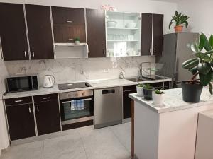 Kuchyň nebo kuchyňský kout v ubytování Apartman Marica